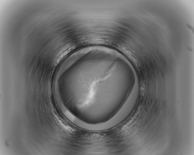 X0000094420390200711291555