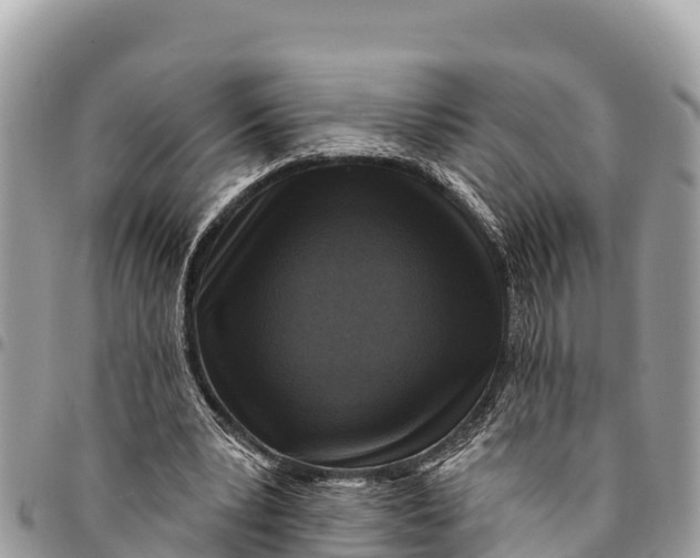 X0000094420391200711291555