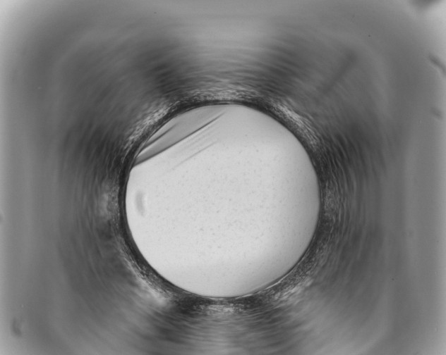 X0000094420394200711291555