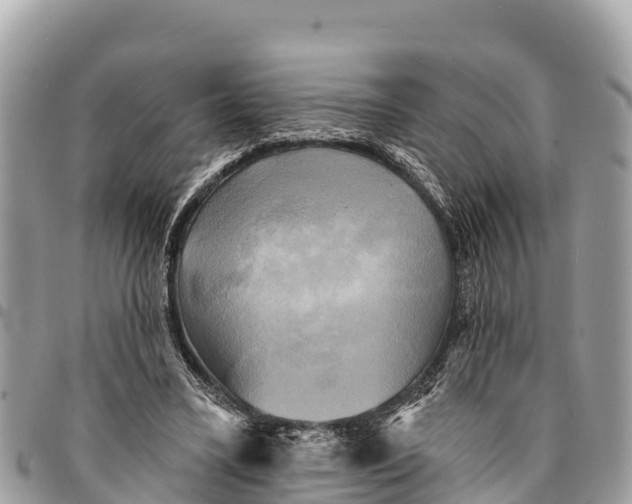 X0000094420395200711291555