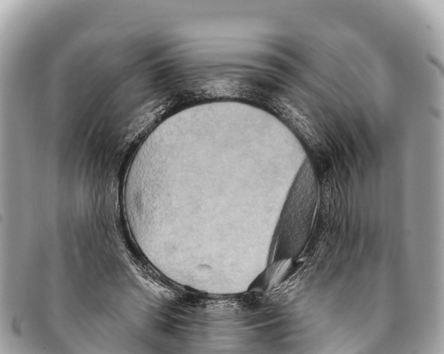 X0000094420398200711291555