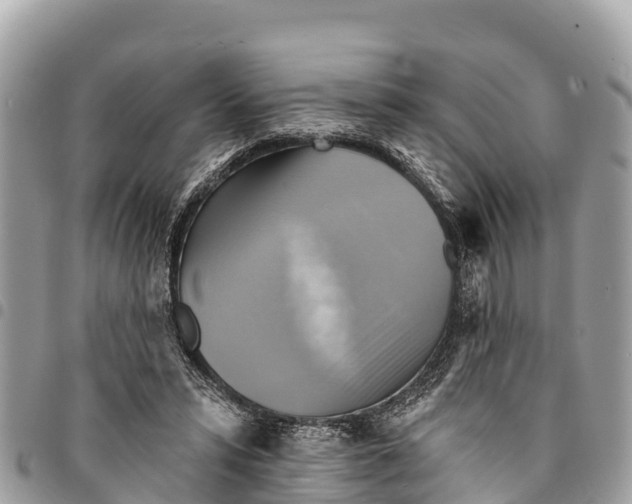 X0000094420399200711291555