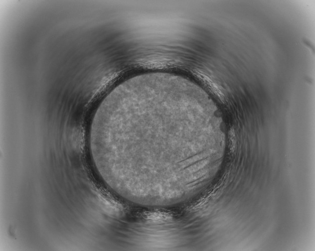 X0000094420400200711291555