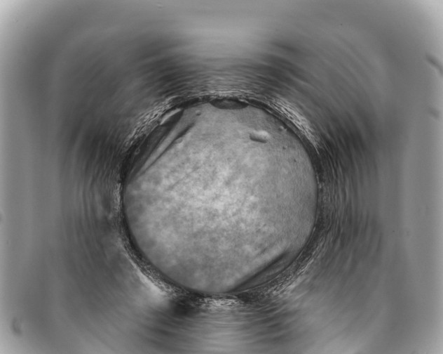 X0000094420401200711291555