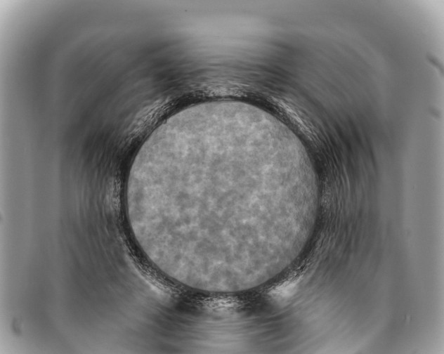 X0000094420402200711291555