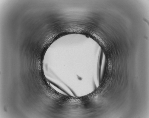 X0000094420403200711291554