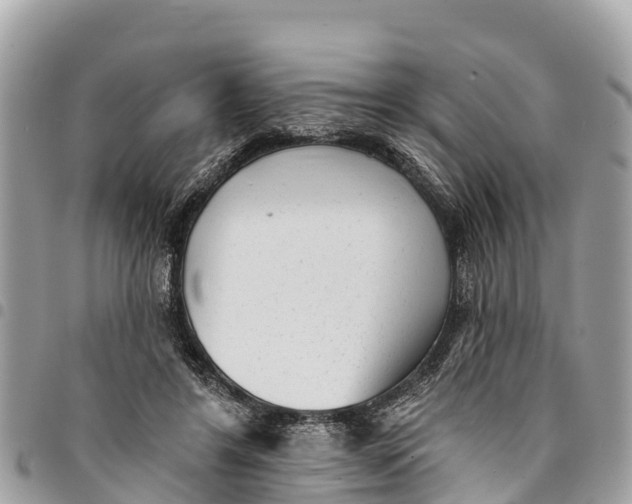 X0000094420404200711291554