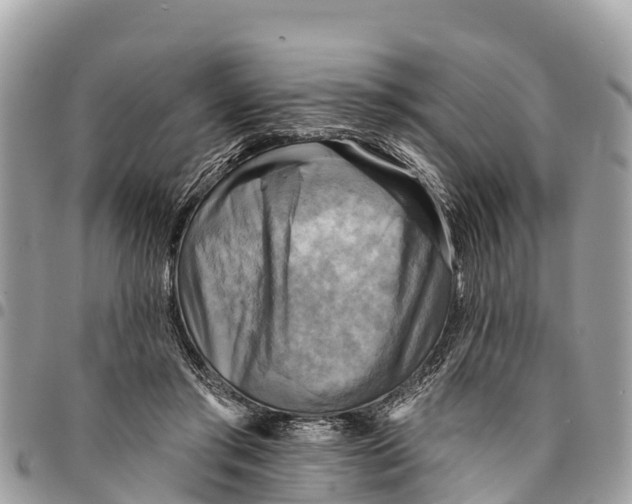 X0000094420405200711291554