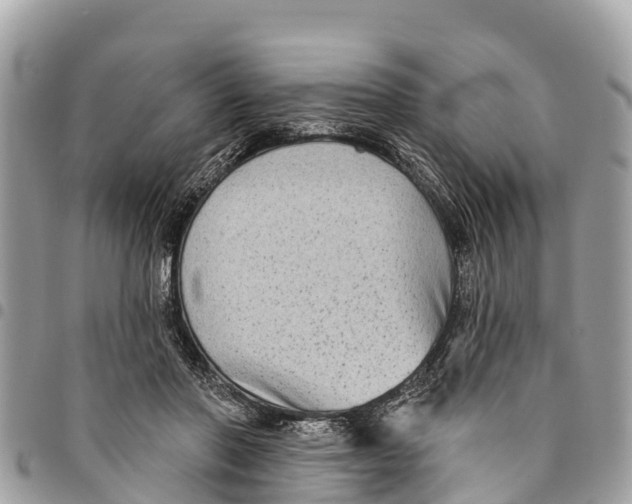 X0000094420406200711291554