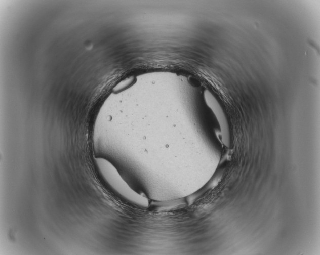 X0000094420407200711291554