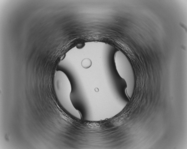 X0000094420409200711291554