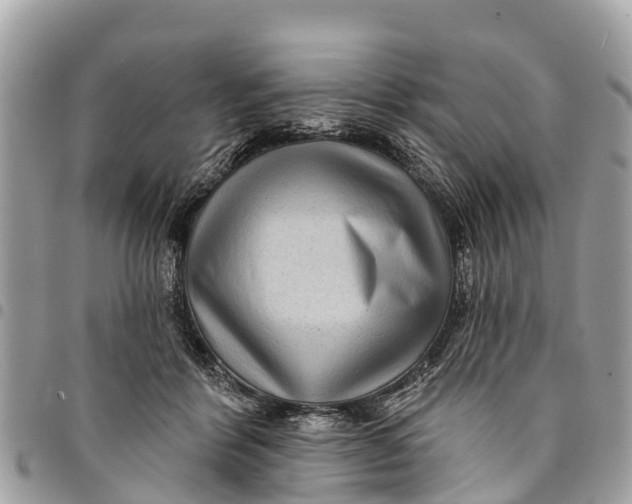 X0000094420412200711291554