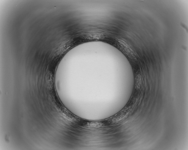 X0000094420414200711291554