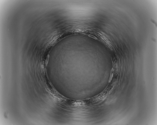 X0000094420415200711291554