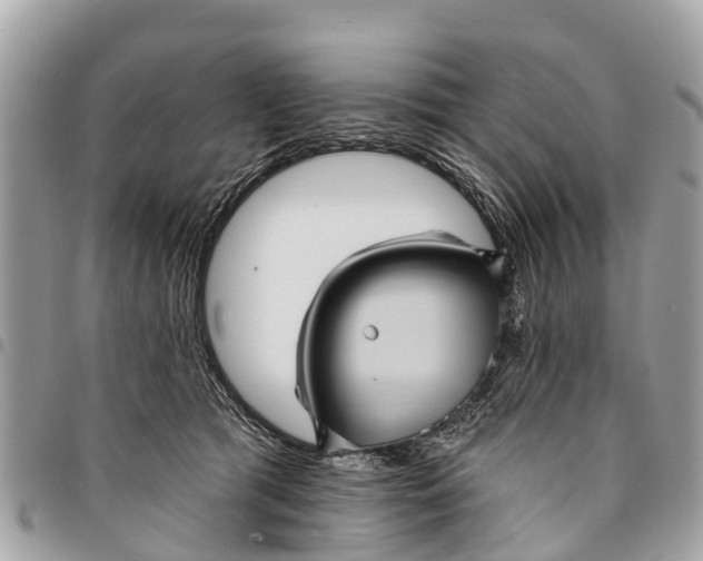 X0000094420417200711291554