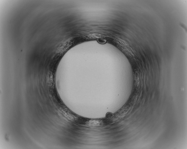 X0000094420418200711291554