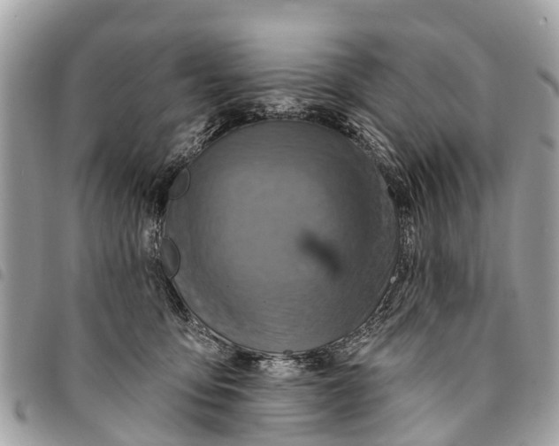 X0000094420419200711291554