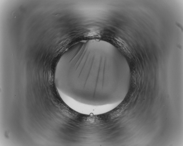 X0000094420420200711291554