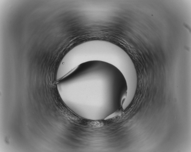 X0000094420421200711291554