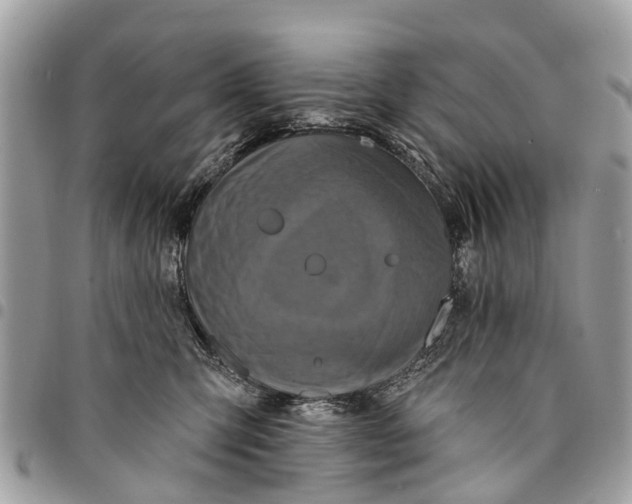 X0000094420423200711291554