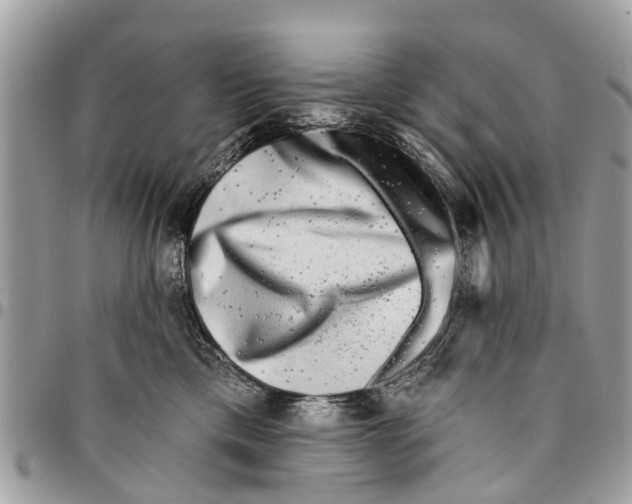 X0000094420425200711291554