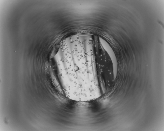 X0000094420429200711291554