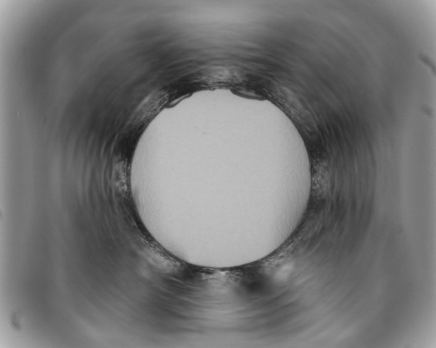 X0000094420430200711291554