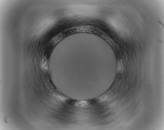 X0000094420431200711291554