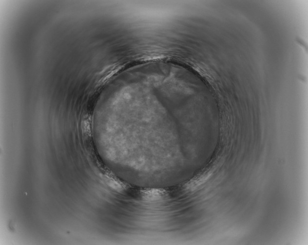 X0000094420432200711291554