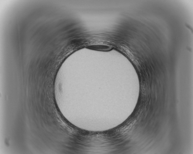 X0000094420433200711291553