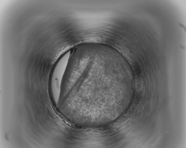 X0000094420434200711291553