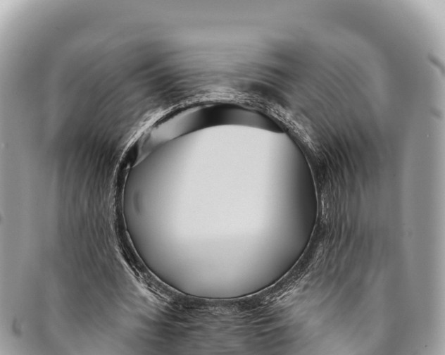 X0000094420436200711291553