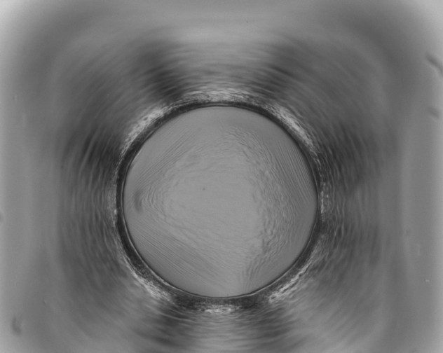 X0000094420438200711291553