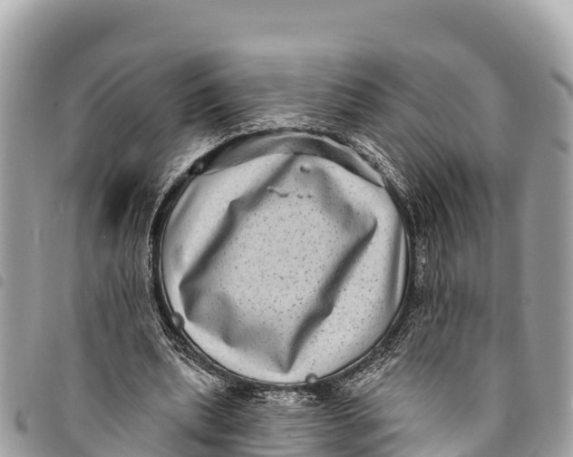 X0000094420439200711291553