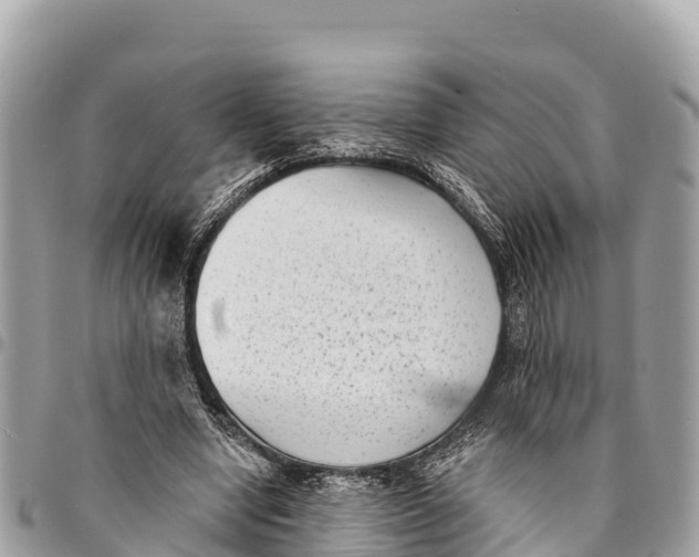 X0000094420442200711291554