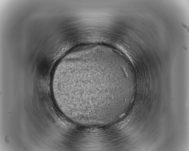 X0000094420443200711291554