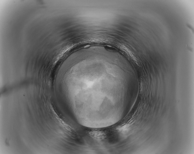 X0000094420444200711291554