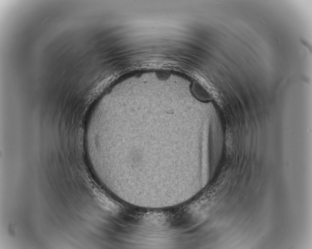 X0000094420445200711291554