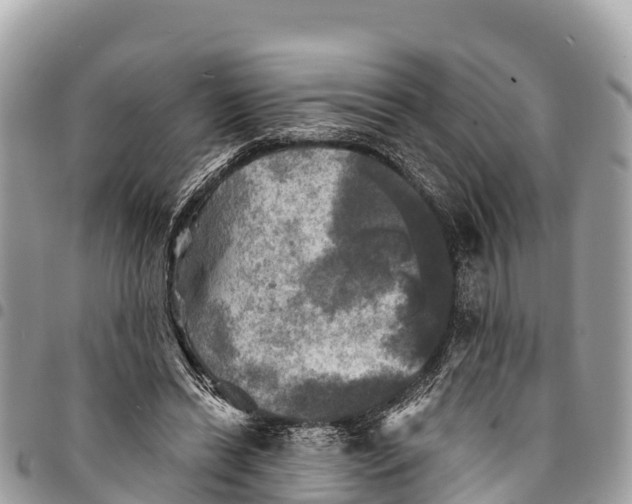 X0000094420446200711291554