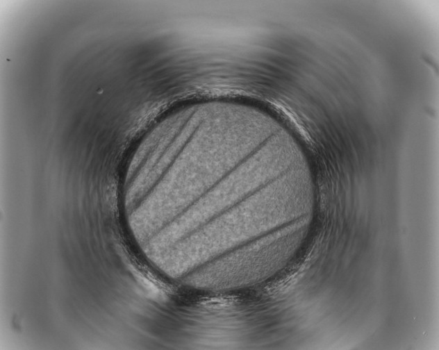 X0000094420447200711291554