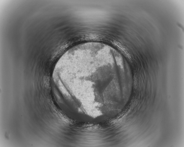 X0000094420449200711291554