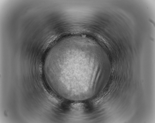 X0000094420452200711291554