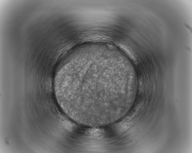 X0000094420453200711291554