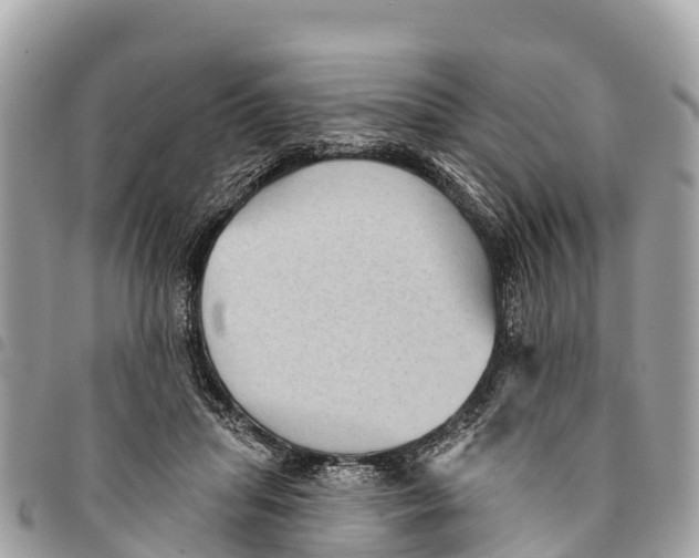 X0000094420455200711291554