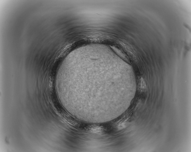 X0000094420456200711291554