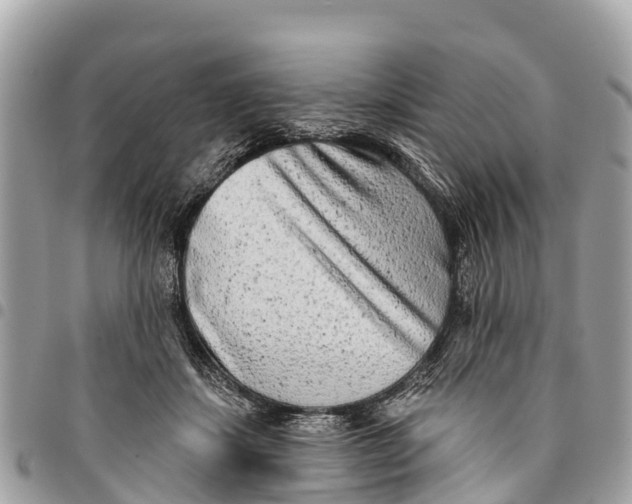 X0000094420459200711291554