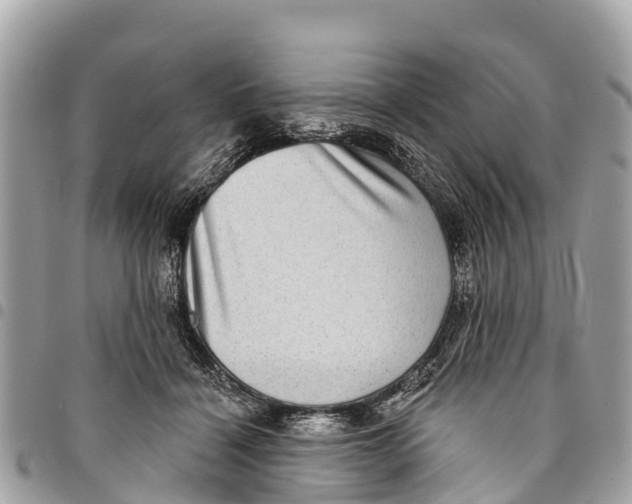 X0000094420460200711291554