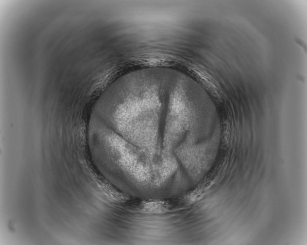 X0000094420461200711291554