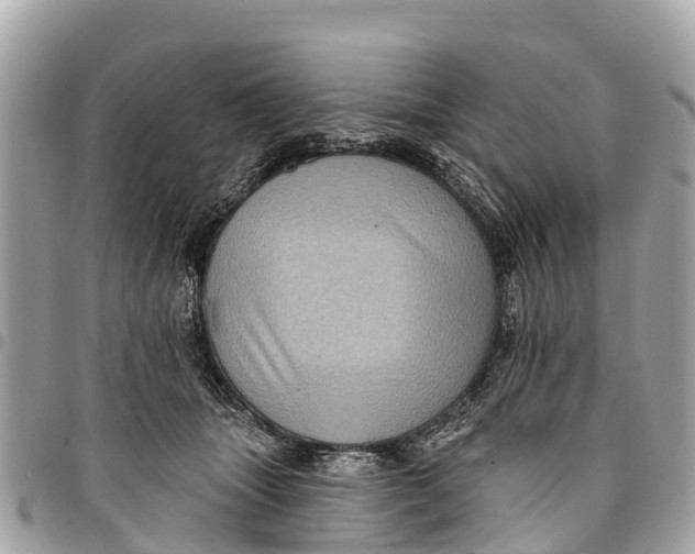 X0000094420463200711291554