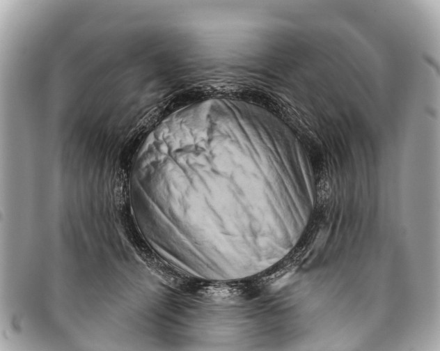 X0000094420464200711291554